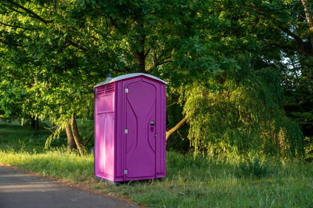 Best Portable bathroom rental  in Perry, MI